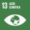 Sustainable Development Goals_PT_RGB--13
